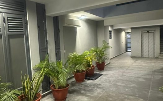 Luxury 3-Bedroom Apartment + BQ