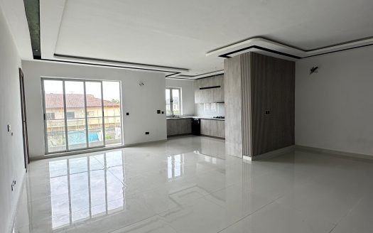 Luxury 2 Bedroom Apartment